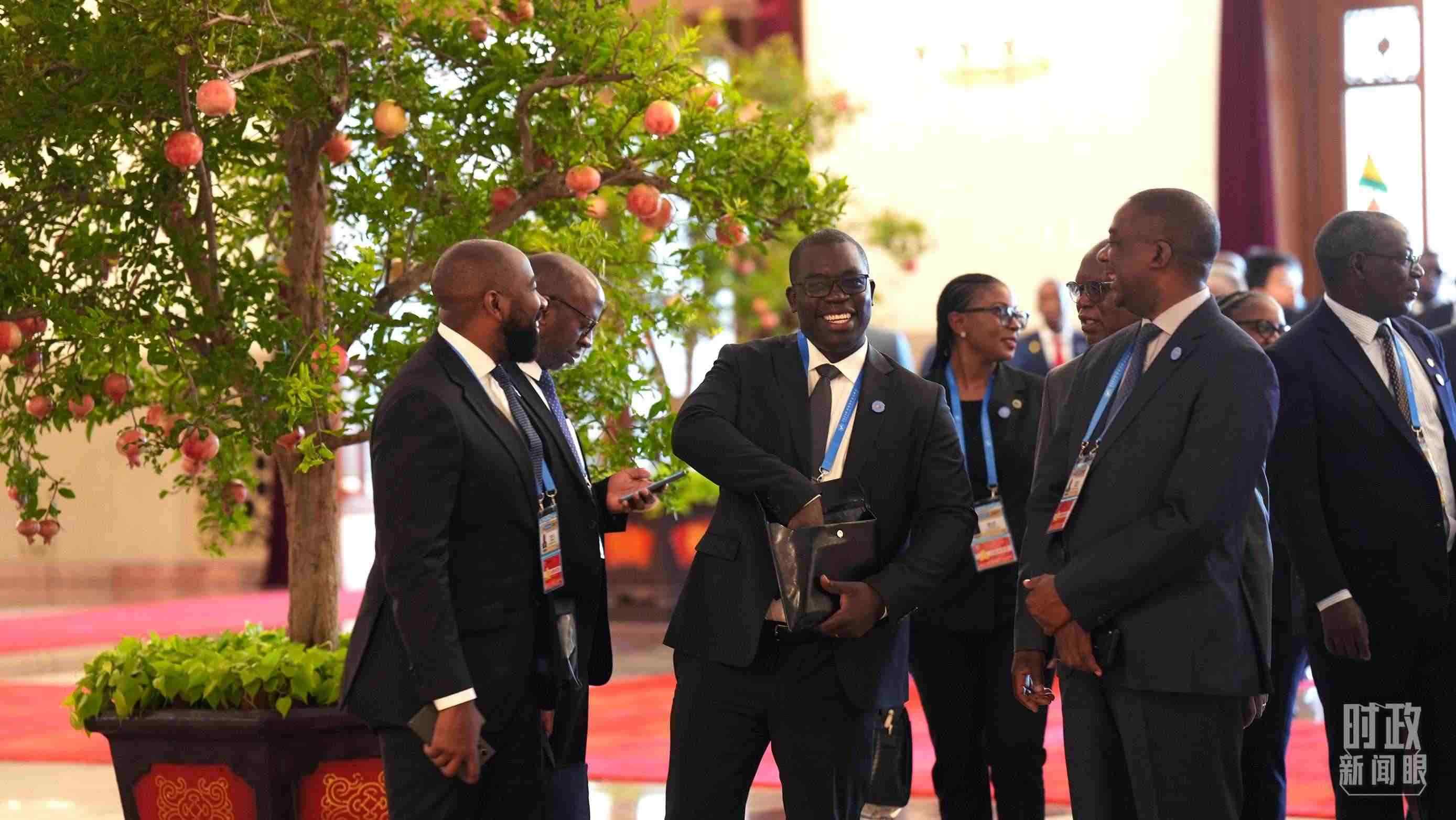 出席中非合作論壇北京峰會(huì)的非洲國(guó)家代表。（總臺(tái)記者李晉拍攝）