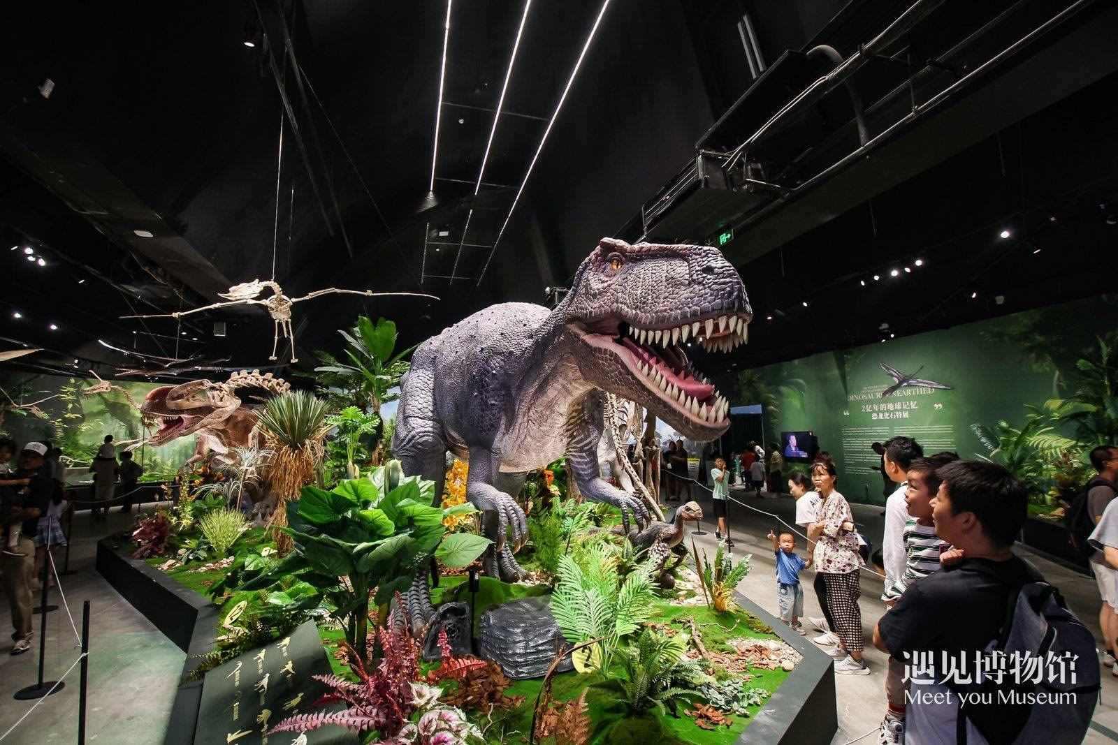 2. 游客參觀“2億年的地球記憶——恐龍化石特展”。遇見博物館供圖