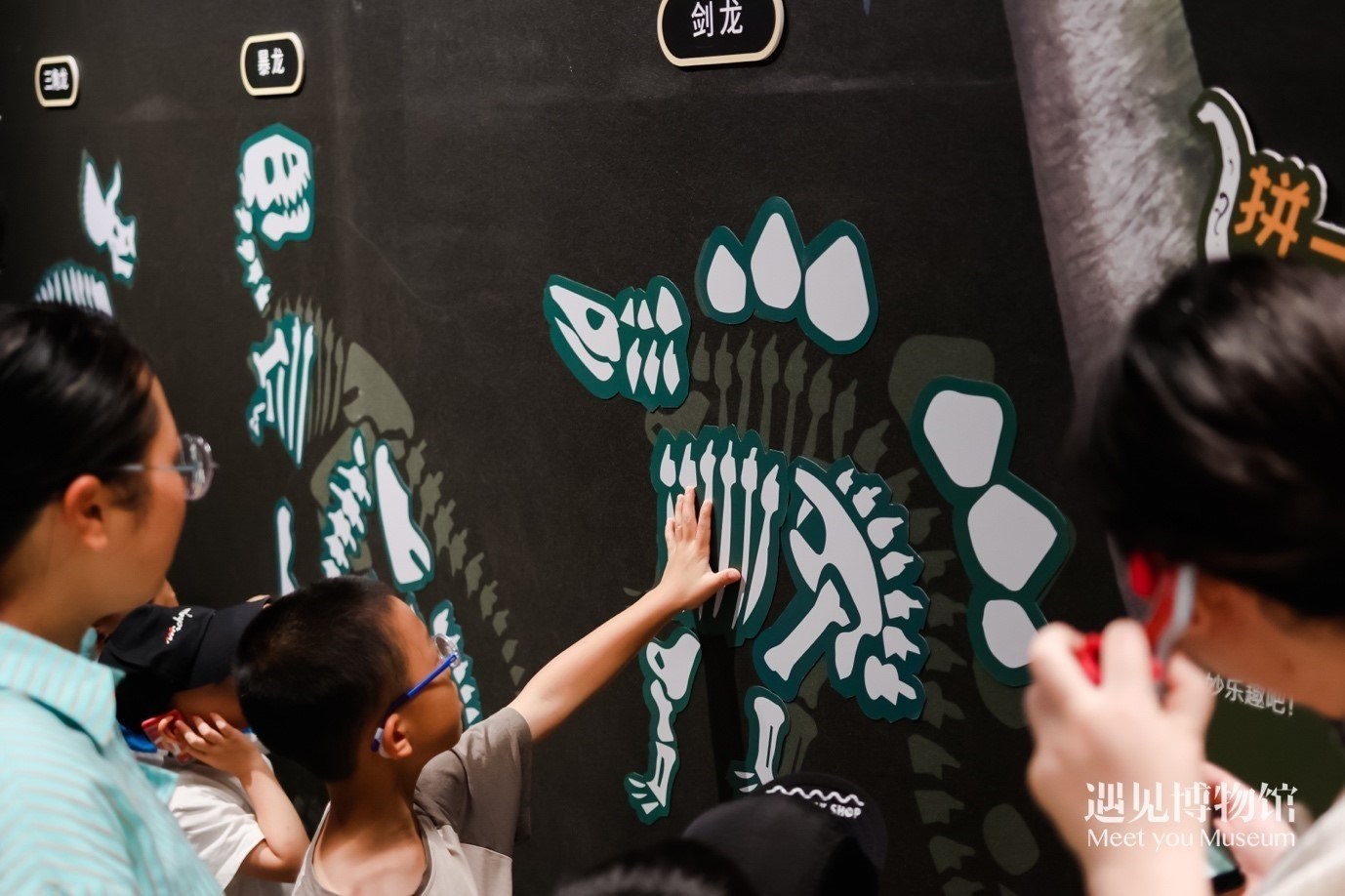 5. “2億年的地球記憶——恐龍化石特展”互動區(qū)域。遇見博物館供圖