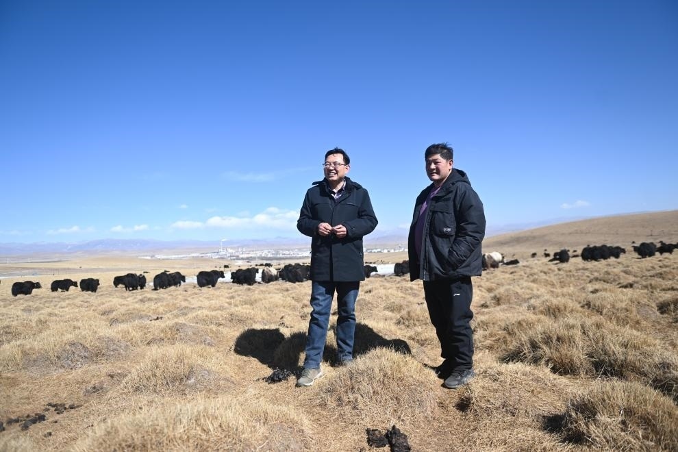 2023年2月24日，在青海省海北藏族自治州海晏縣青海湖鄉(xiāng)達玉日秀村，全國人大代表董全民（左）查看牧民東知布家的草場。新華社記者 張龍 攝