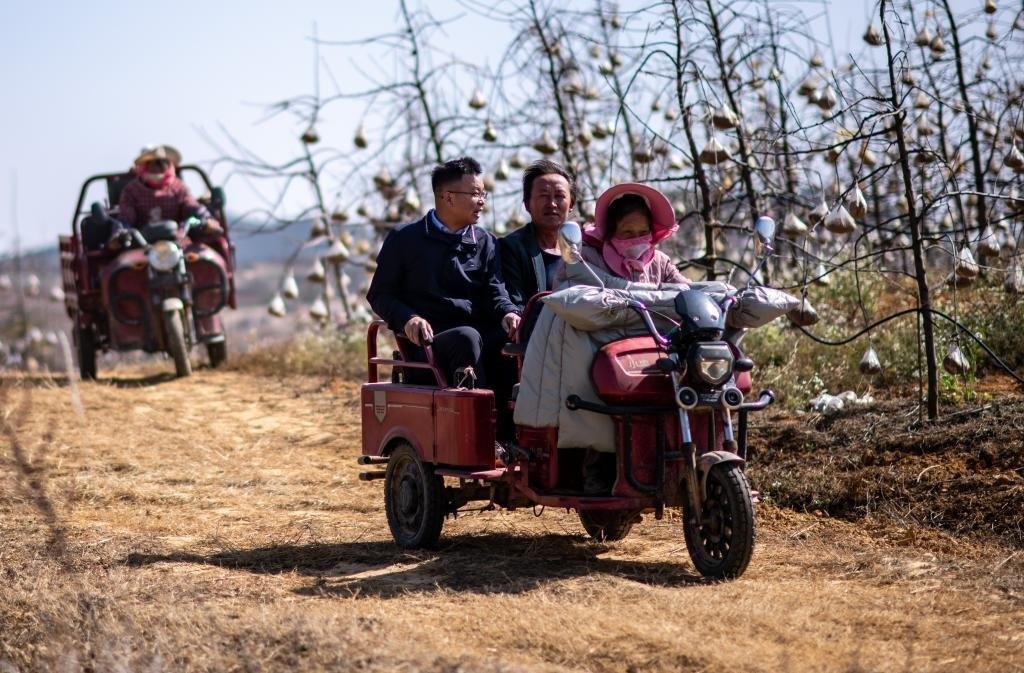 全國人大代表袁海波（右三）在云南省曲靖市馬龍區(qū)一種植基地了解務(wù)工人員就業(yè)需求（2023年2月11日攝）。新華社記者 江文耀 攝