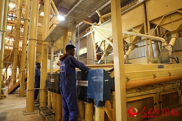 在Bule Hora咖啡加工廠里工作的當(dāng)?shù)毓と藗?。人民網(wǎng)記者 沈小曉攝