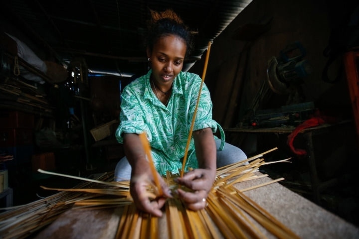 2024年8月10日，菲基爾特·加布雷在埃塞俄比亞首都亞的斯亞貝巴名為“綠色金子”的竹藤工作室里加工竹制產(chǎn)品。新華社發(fā)（邁克爾·特韋爾德 攝）