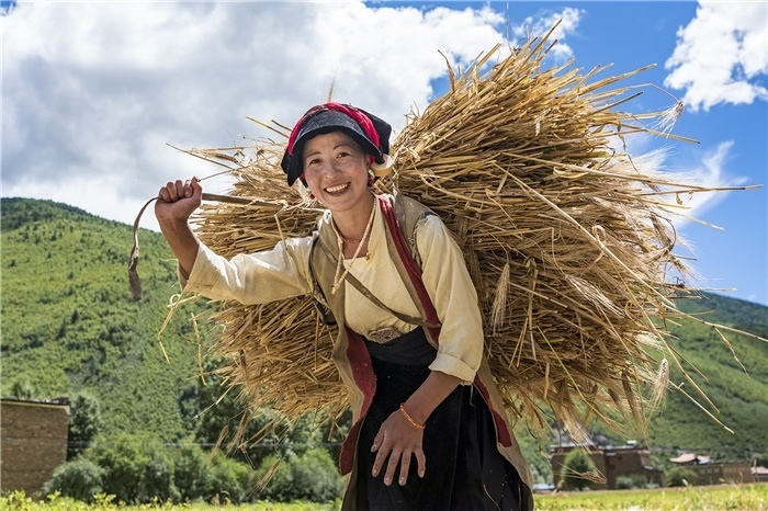 康定市甲根壩鎮(zhèn)青稞豐收，農(nóng)牧民臉上洋溢著豐收的喜悅。林革文攝