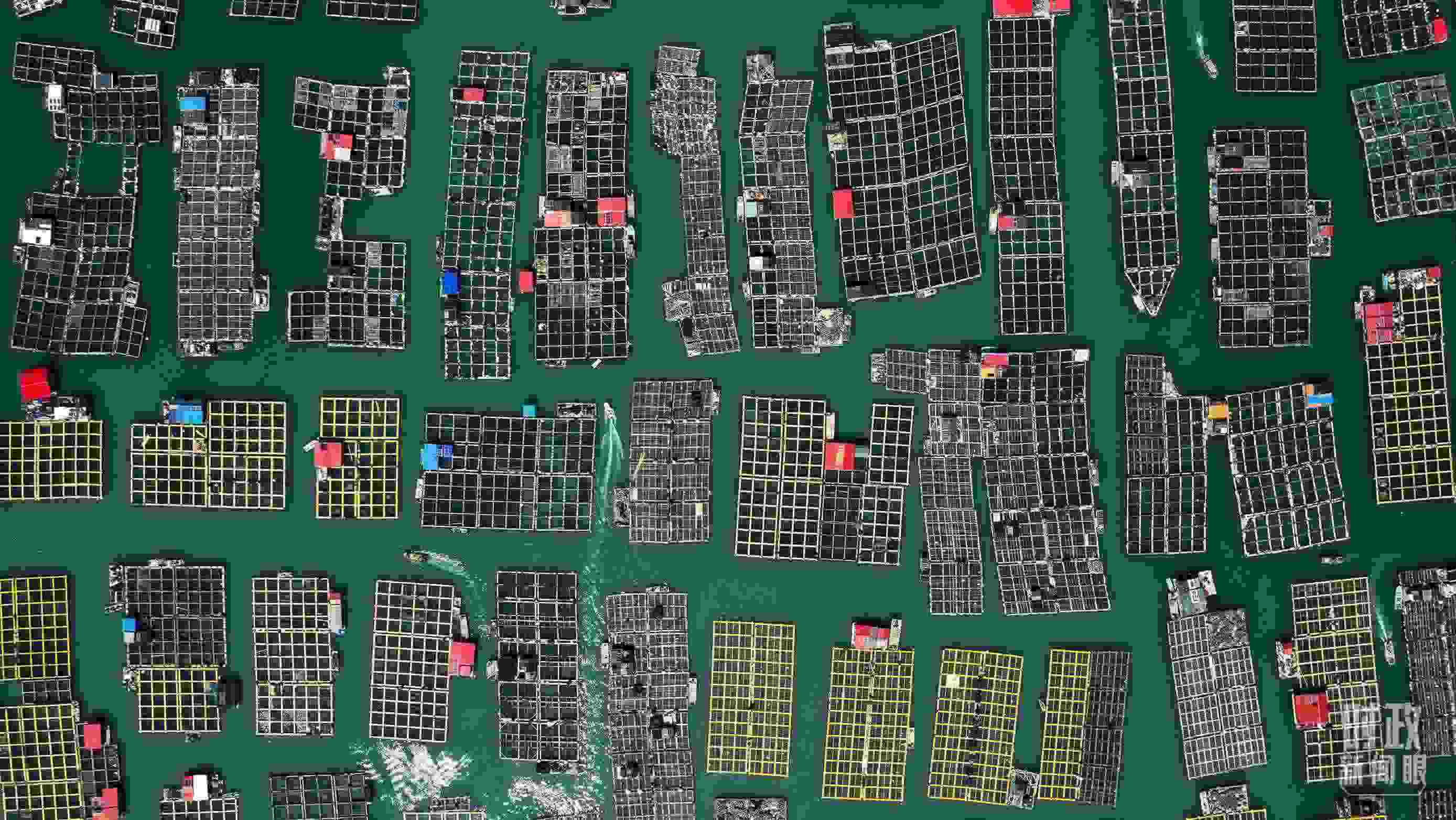 △澳角村。（總臺(tái)記者李晉拍攝）