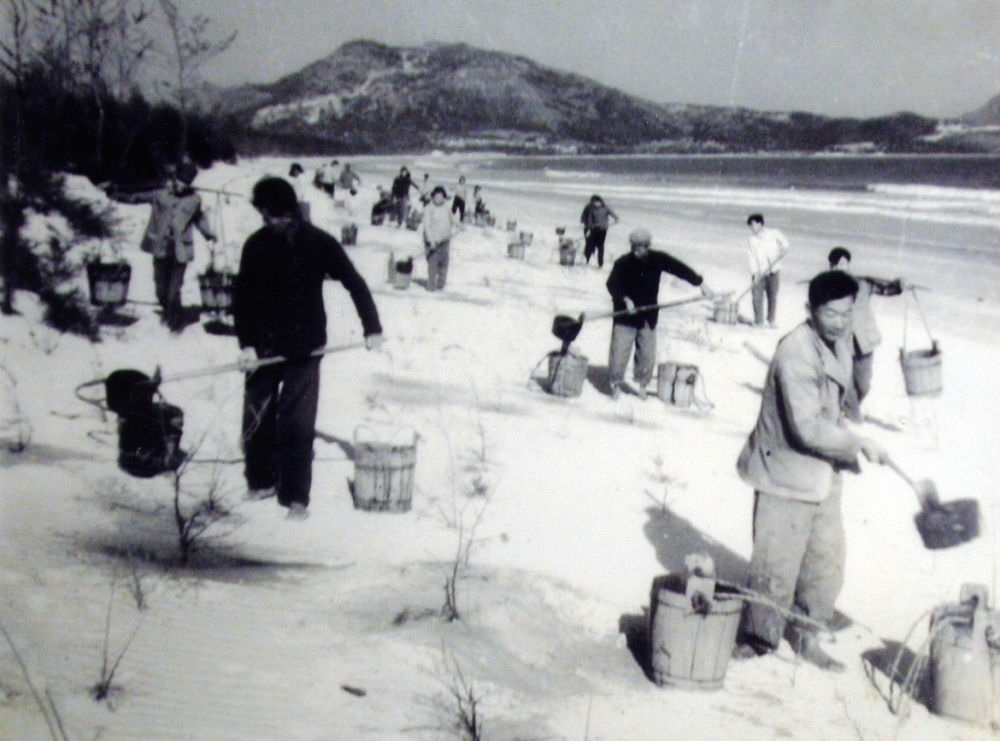 上世紀(jì)東山百姓在沙灘造林（資料照片）。