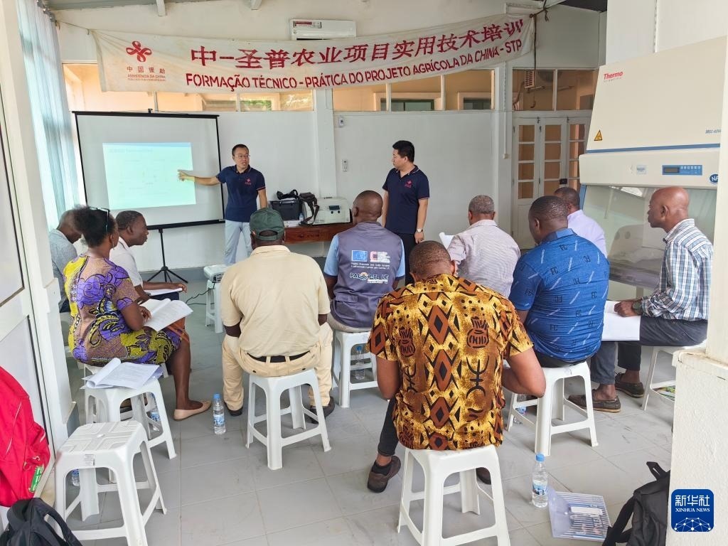 中國援圣普農(nóng)牧業(yè)技術(shù)項目組專家段振華（后左）在圣多美和普林西比的國家獸醫(yī)實驗室開展動物疫病監(jiān)測技術(shù)培訓(xùn)（2024年6月21日攝）。新華社發(fā)（中國援圣普農(nóng)技組供圖）