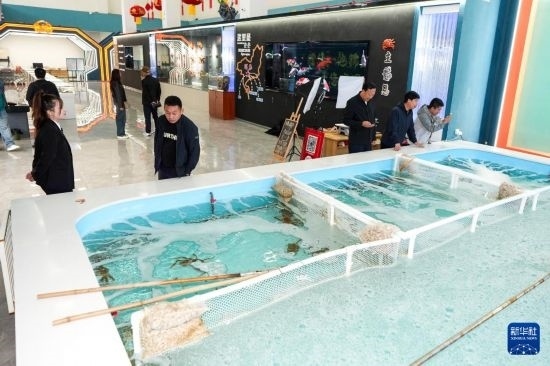 9月20日，游客在吉林省琿春市的帝王蟹保稅店內選購帝王蟹。新華社記者 許暢 攝