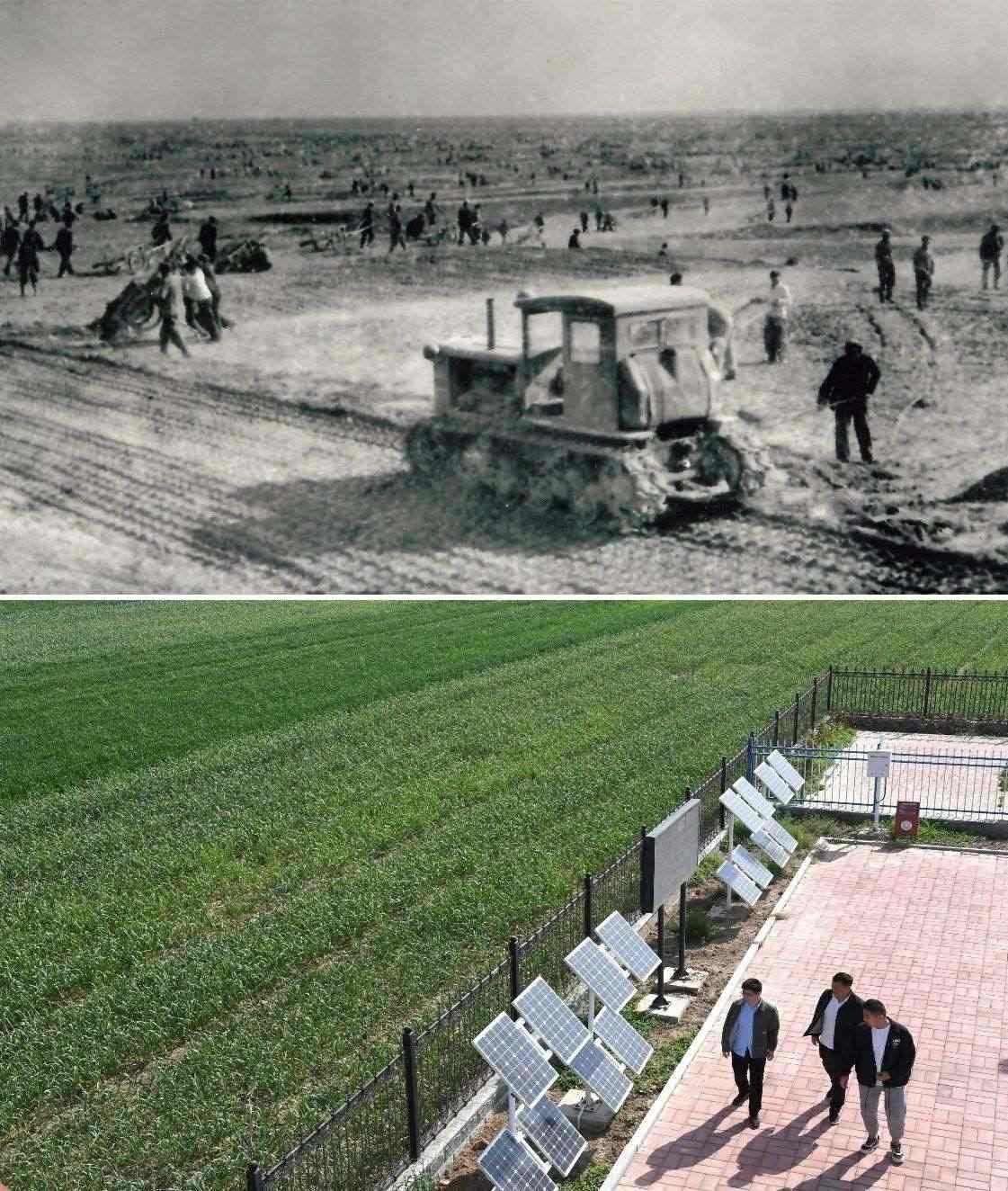 上圖為二十世紀(jì)六十年代蘭考改造鹽堿地的情景（資料照片）；下圖為2024年4月18日拍攝的蘭考縣紅廟鎮(zhèn)高標(biāo)準(zhǔn)農(nóng)田示范區(qū)。（新華社記者 朱祥 攝）