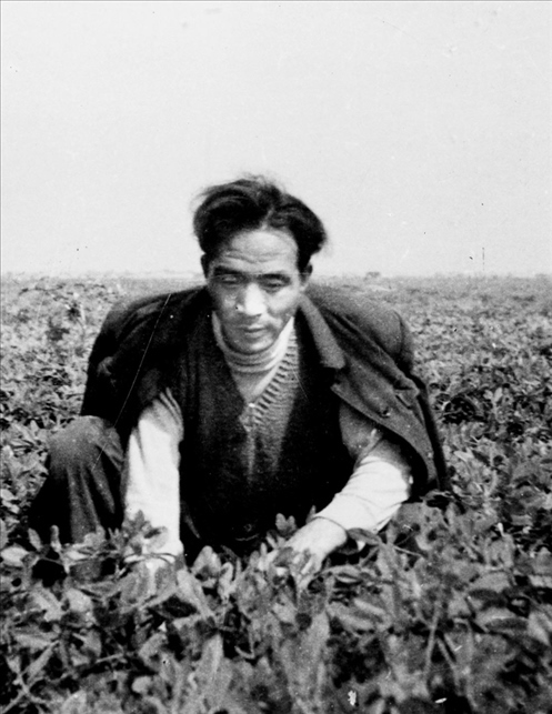 在蘭考期間，焦裕祿在田間勞動的情景。