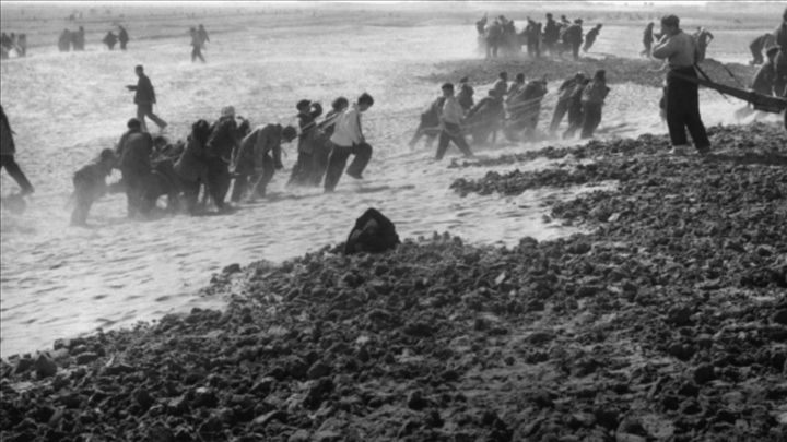 蘭考群眾在拉淤土壓沙。（新華社記者 鄧歷耕 攝）