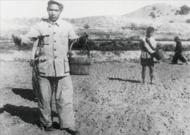 △ 谷文昌在福建省東山縣坑北村參加播種。