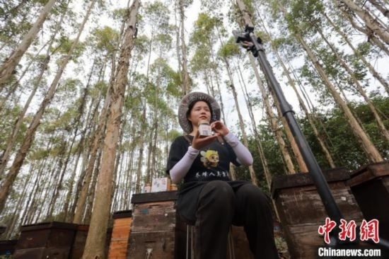 吳素英在網(wǎng)絡(luò)平臺直播介紹蜜蜂和養(yǎng)蜂情況。湯曉逵 攝