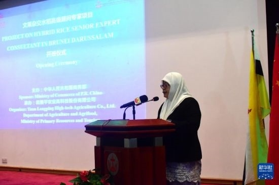 10月26日，文萊初級(jí)資源與旅游部常任秘書圖蒂亞蒂在斯里巴加灣市出席中國(guó)與文萊雜交水稻高級(jí)專家顧問項(xiàng)目啟動(dòng)儀式。新華社記者 李萌 攝