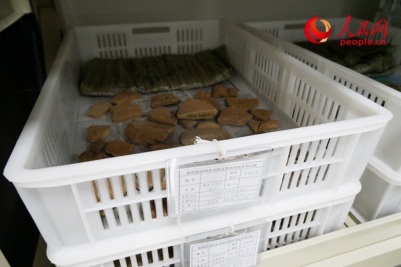 已經(jīng)整理完畢的文物標本。人民網(wǎng)記者 韋衍行攝