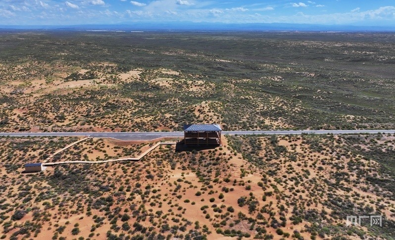 古浪縣一代代人治沙不息，讓綠色向沙漠深處不斷延伸（央廣網(wǎng)記者 李紅軍 攝）