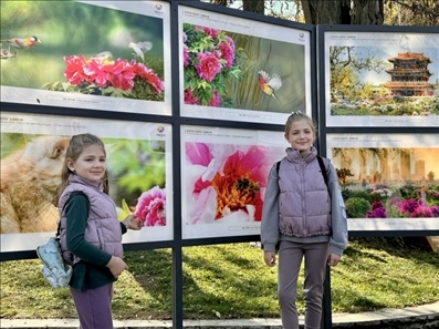 活動(dòng)現(xiàn)場。中國駐保加利亞大使館供圖。