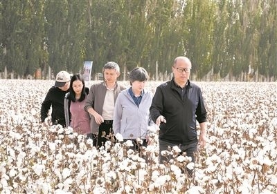 李召虎團(tuán)隊(duì)成員在棉田了解試驗(yàn)情況。 受訪單位供圖