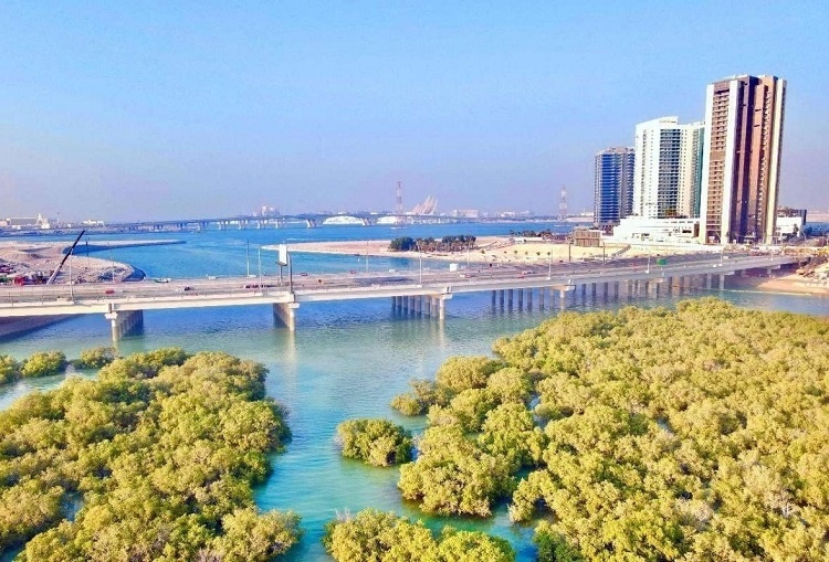 圖為瑞姆橋施工現(xiàn)場。中國土木供圖