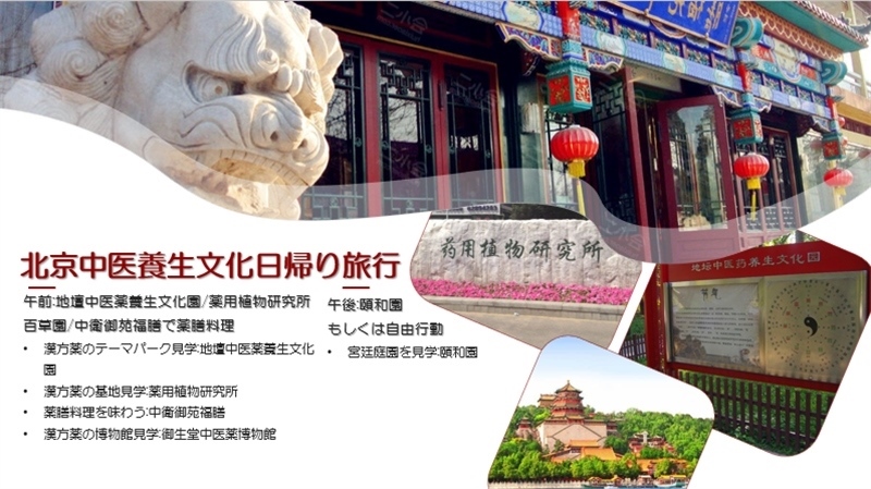 “你好！中國·休閑旅游—中國旅游說明會”宣講材料。中國駐東京旅游辦事處供圖