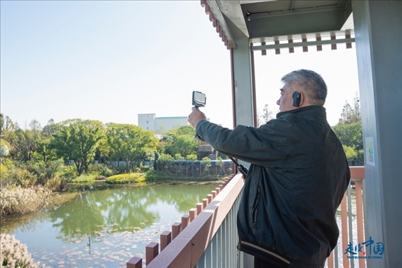 參觀白鷺園。環(huán)球網(wǎng)供圖