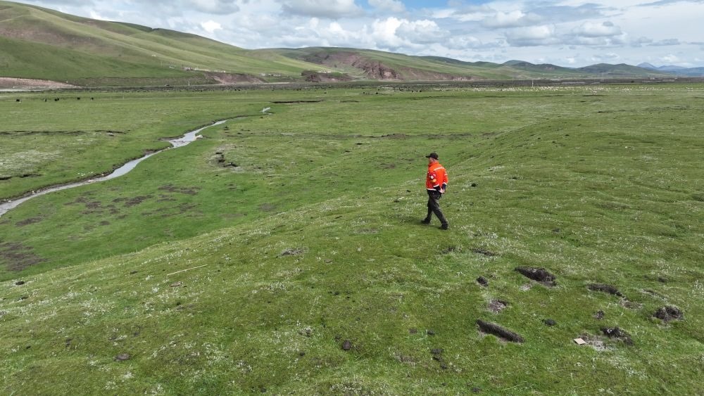 9月24日，生態(tài)管護(hù)員那瓦才郎在草場(chǎng)上巡護(hù)。（受訪者供圖）
