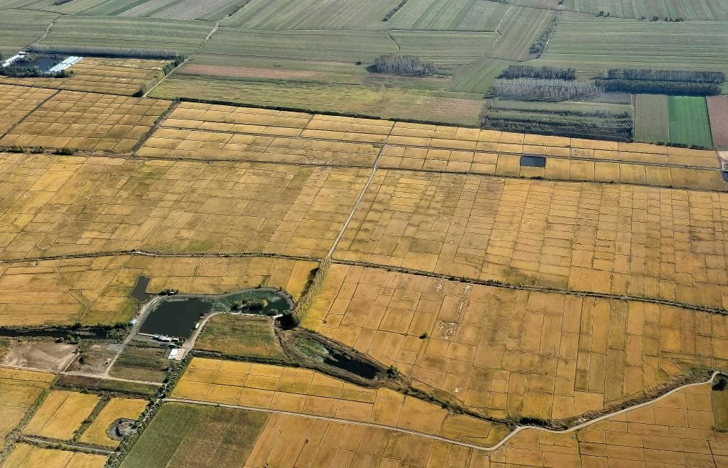 俯瞰黑龍江省哈爾濱市一處稻田（10月2日攝，無人機照片）。新華社記者 孫曉宇 攝