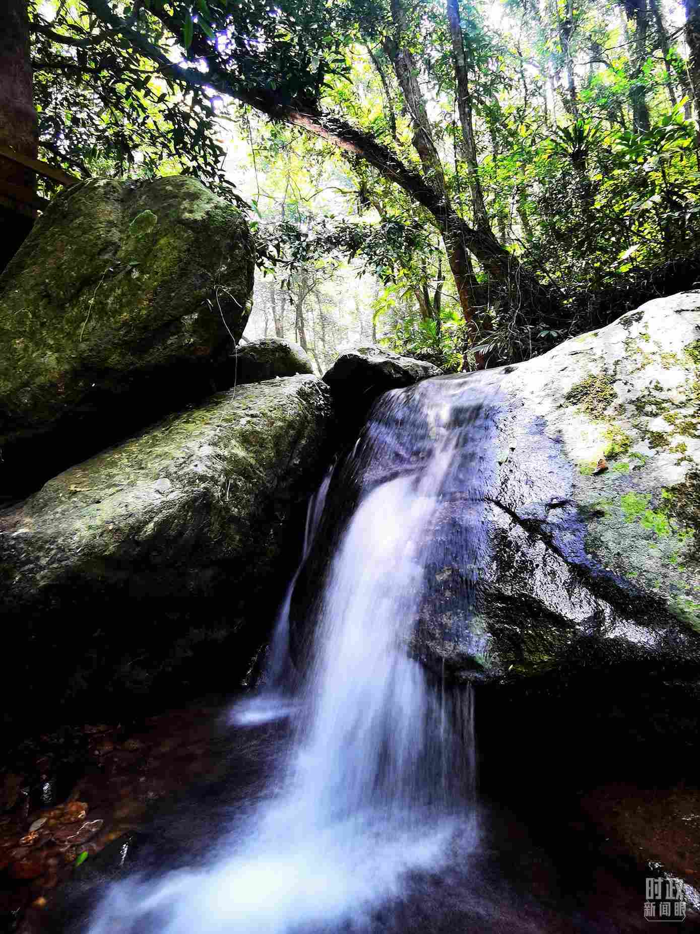 海南五指山。（總臺央視記者劉琦拍攝）