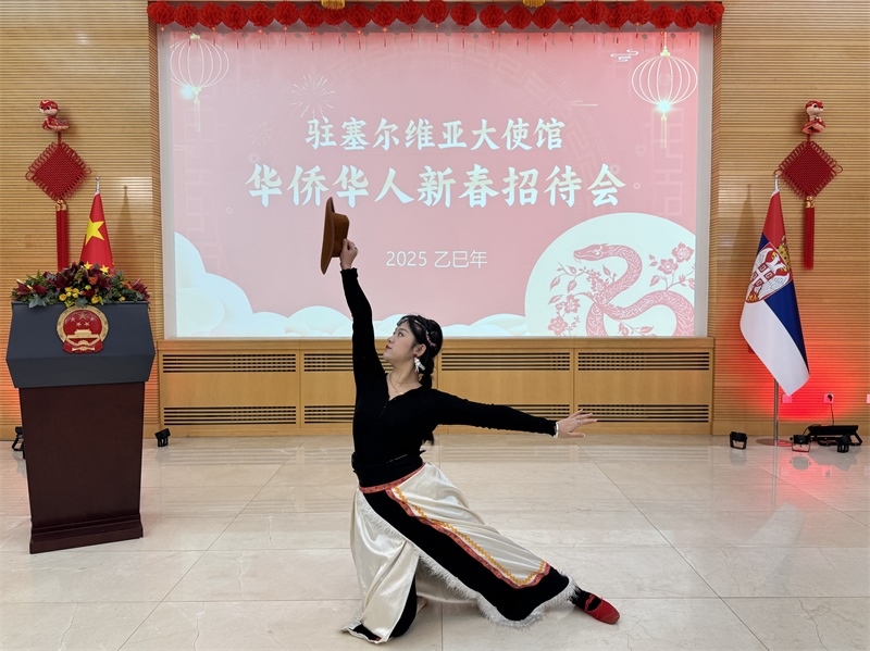 招待會(huì)現(xiàn)場(chǎng)表演。諾維薩德孔子學(xué)院供圖