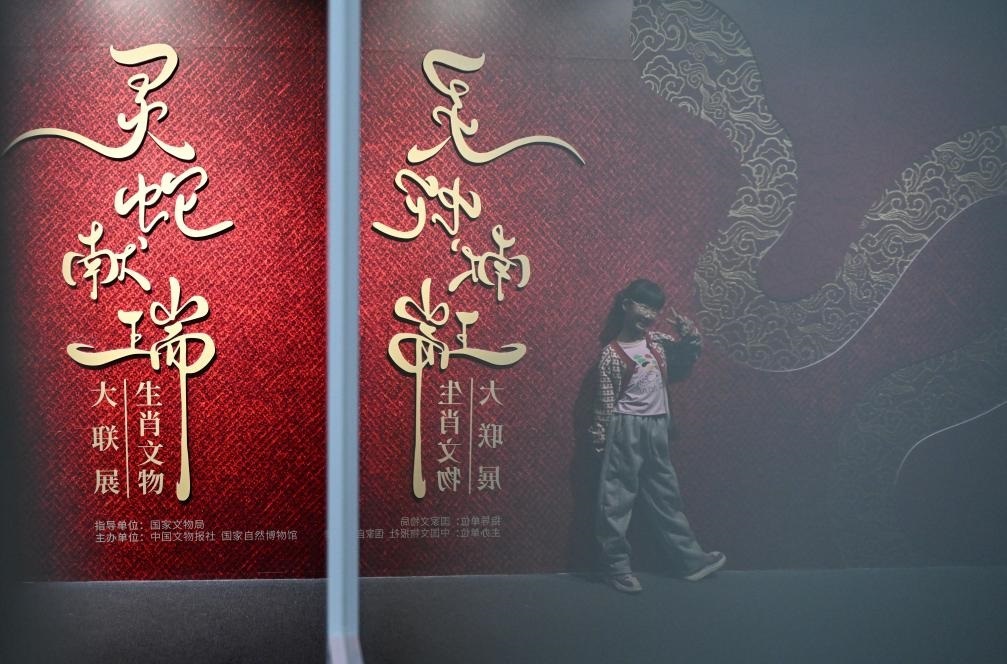 1月18日，一名小朋友在國家自然博物館舉辦的“靈蛇獻瑞——2025乙巳蛇年生肖文物大聯(lián)展”展覽中拍照留念。（新華社記者 陳鐘昊 攝）