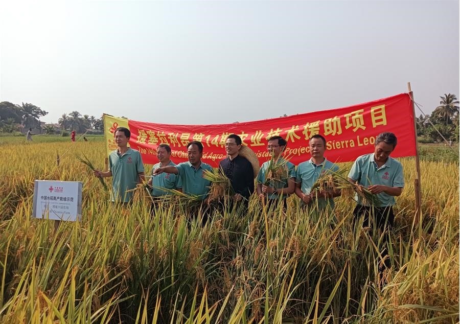 中國駐塞拉利昂大使王擎和援塞農(nóng)業(yè)專家組合影。中國援塞農(nóng)業(yè)專家組供圖