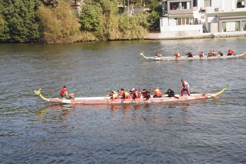 活動現(xiàn)場龍舟競技，共慶春節(jié)。開羅中國文化中心供圖