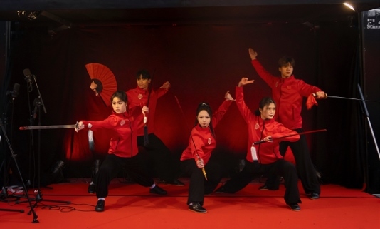 武術(shù)表演。中國駐芬蘭大使館供圖