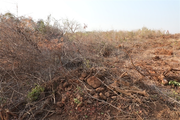 施工現(xiàn)場(chǎng)。張曉昆攝