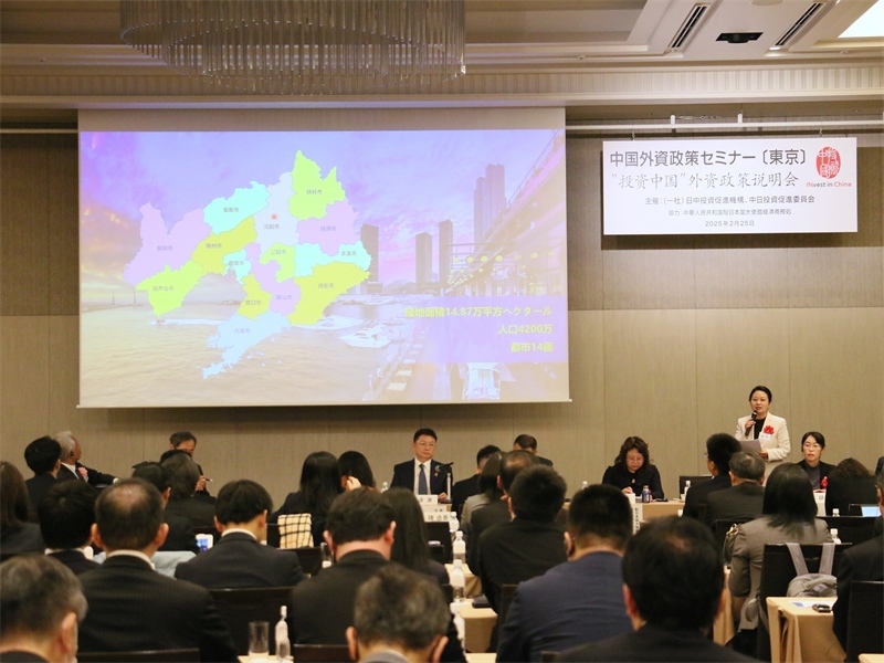 地方代表進行專題投資推介。人民網(wǎng) 許可攝