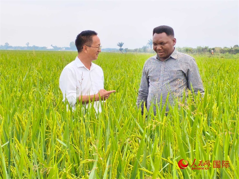 專家組組長楊華德在與農(nóng)民學(xué)員交流。人民網(wǎng)記者黃培昭攝