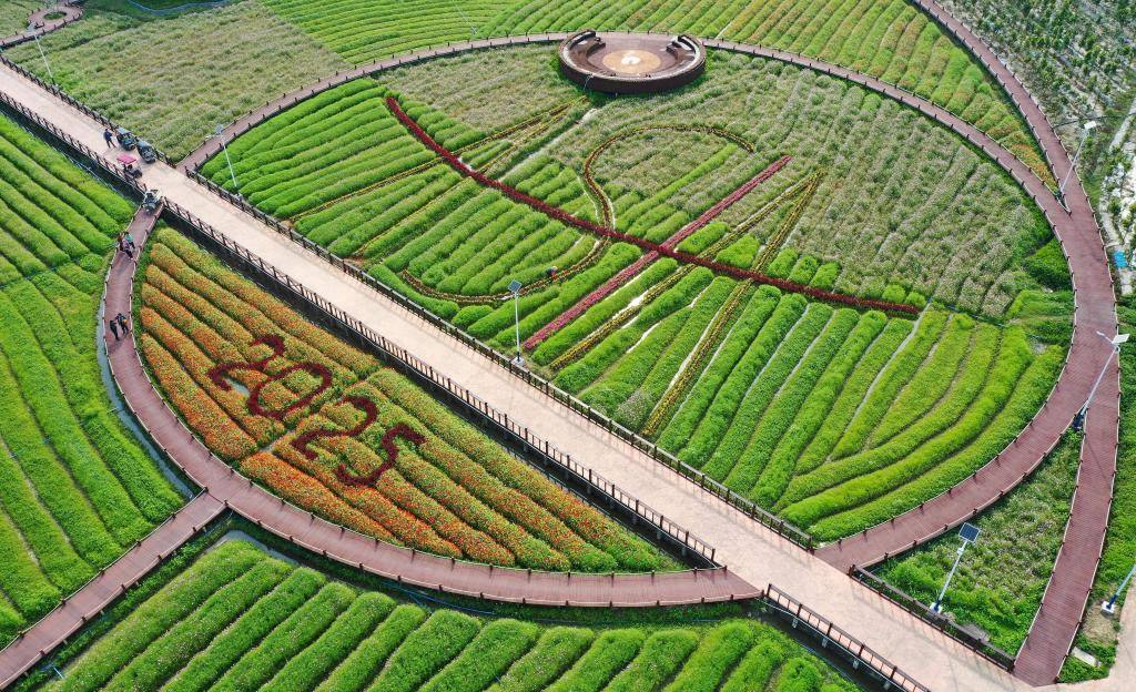 這是3月21日拍攝的瓊海博鰲南強村景色（無人機照片）。新華社記者 郭程 攝