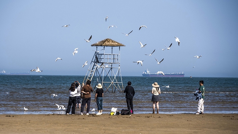 2024年5月12日，河北秦皇島，北戴河鴿子窩公園成群海鷗在天空中自由翱翔，與大海、藍(lán)天構(gòu)成了一幅美麗的畫(huà)卷。