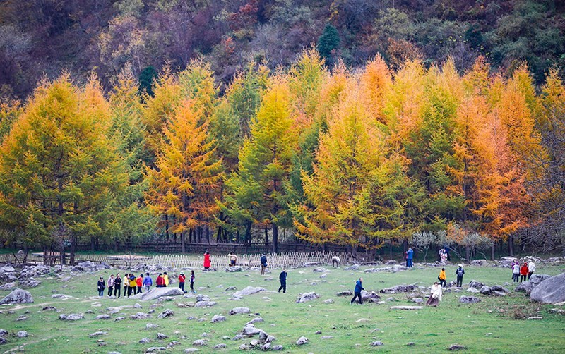 2023年10月27日，深秋時(shí)節(jié)的陜西秦嶺太子嶺五彩斑斕，進(jìn)入最佳觀賞期。