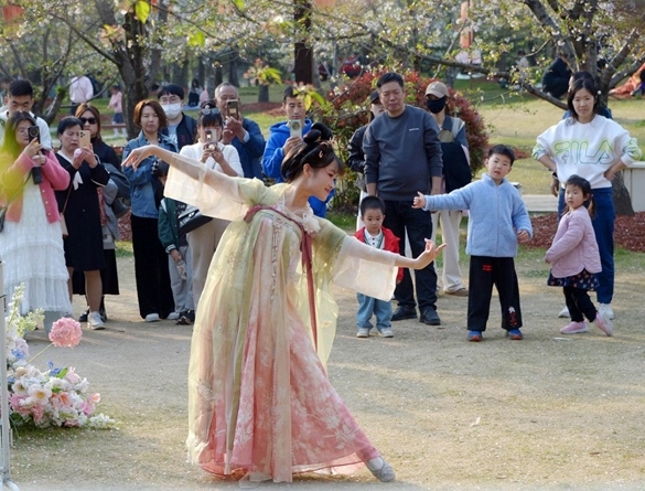 清明假期期間，上海顧村公園櫻花島上，游客在觀賞國風(fēng)漢服快閃表演。（圖片來源：視覺中國）