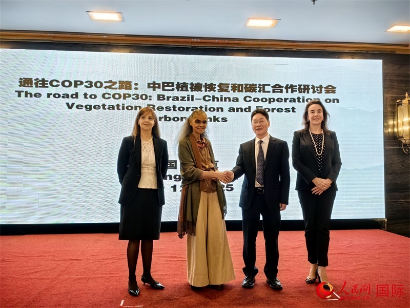 中國(guó)國(guó)家林業(yè)和草原局副局長(zhǎng)李云卿（右二）、巴西環(huán)境和氣候變化部部長(zhǎng)瑪麗娜·席爾瓦（左二）、巴西財(cái)政部副部長(zhǎng)羅熙丹（右一）、巴西駐華大使館公參樂美（左一）出席“通往COP30之路：中巴植樹造林和碳匯合作研討活動(dòng)”。人民網(wǎng)記者 符園園攝