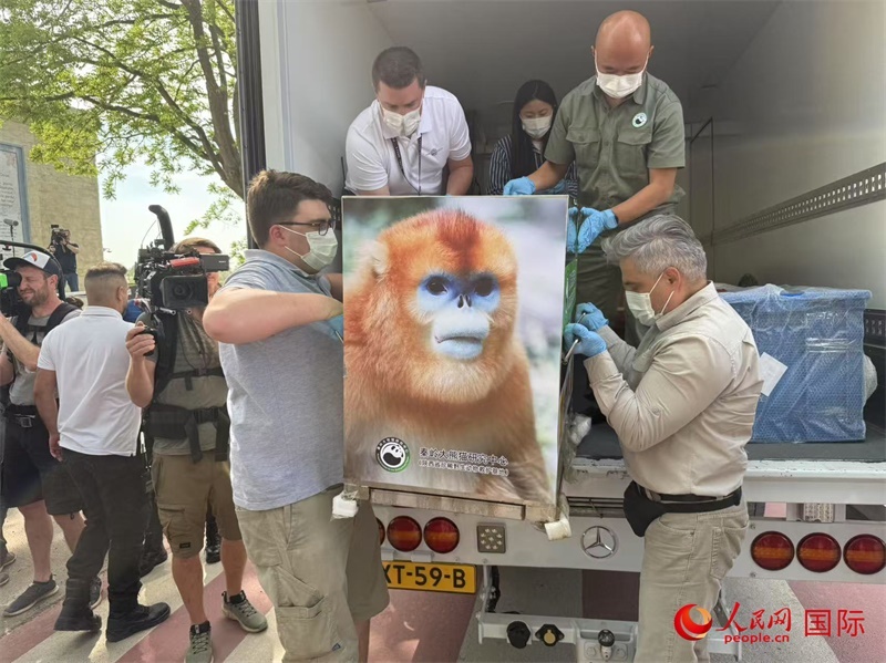 圖為活動現(xiàn)場。人民網(wǎng)記者 牛瑞飛攝