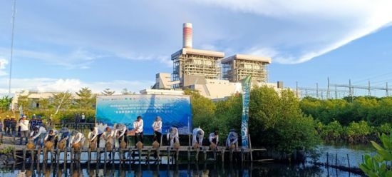 5月18日，中印尼嘉賓在爪哇7號燃煤電站舉行紅樹林補植儀式。記者 曹凱 攝