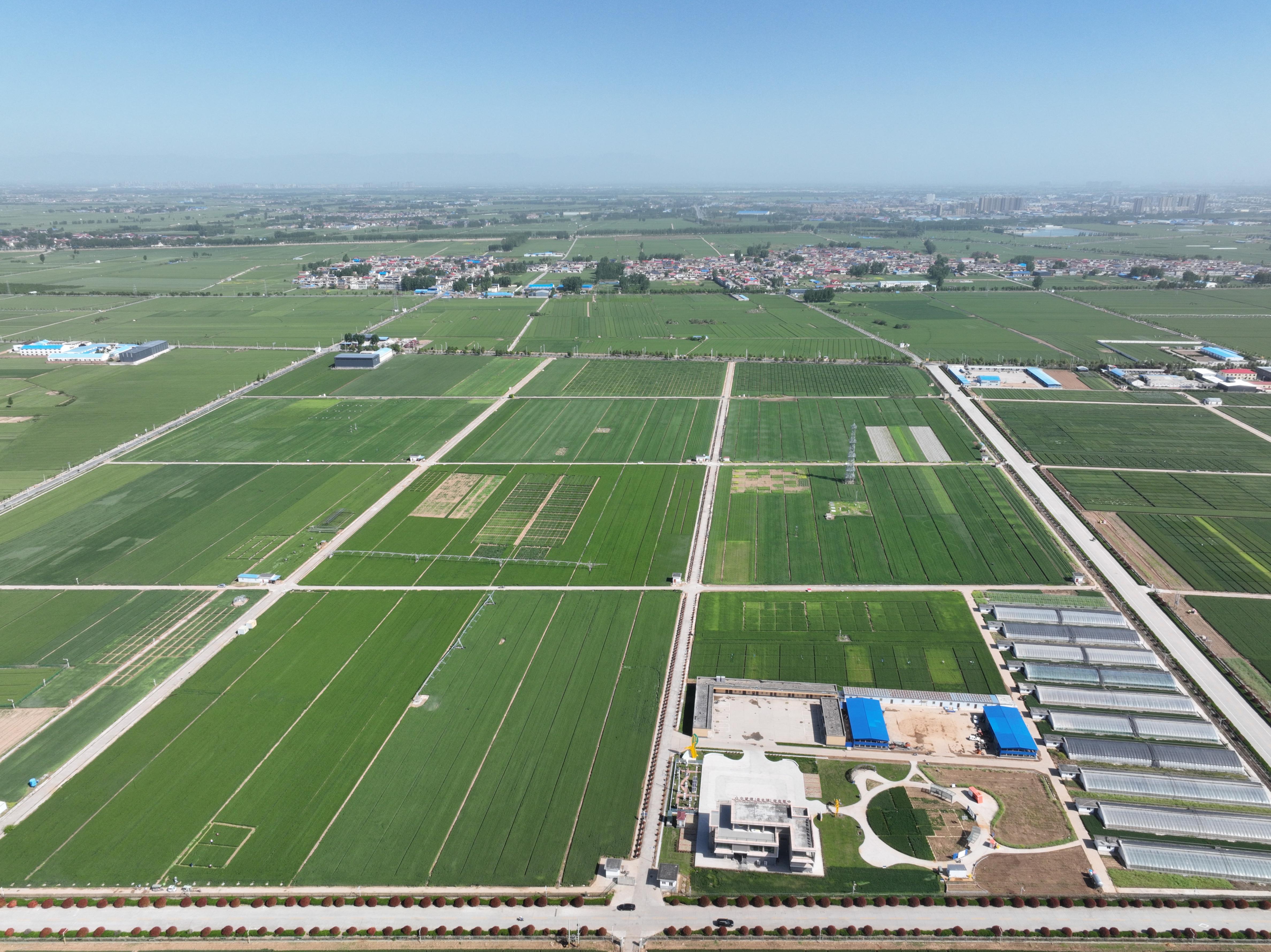 俯瞰水利部灌溉試驗(yàn)總站試驗(yàn)研究基地。受訪者供圖