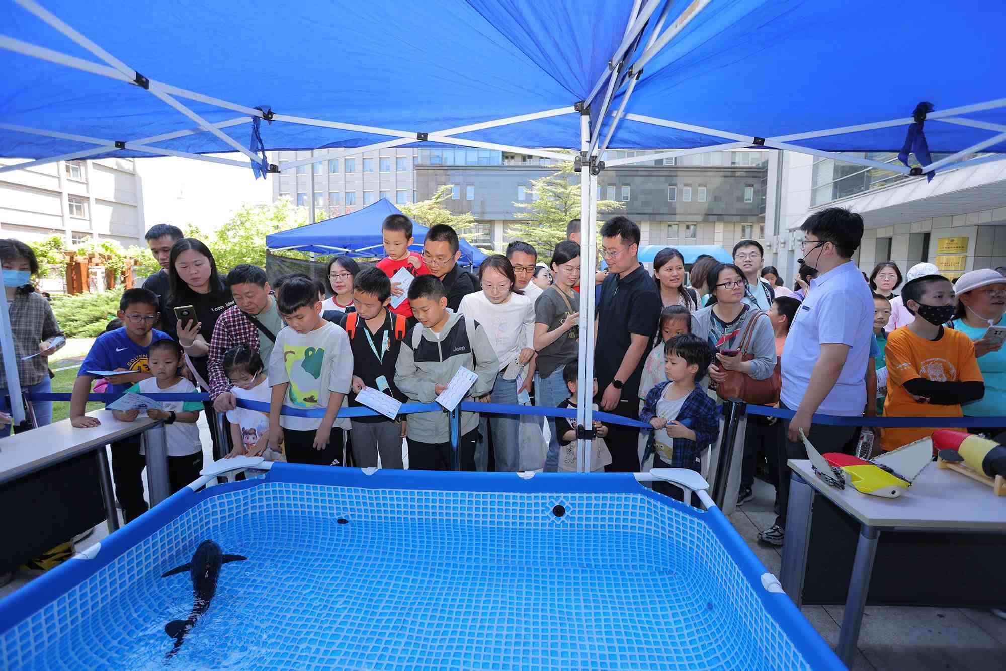 水下仿生機器魚在活動現(xiàn)場大受歡迎。中國科學院自動化研究所供圖